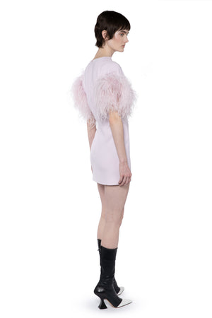 Vanora Mini Dress In Mauve