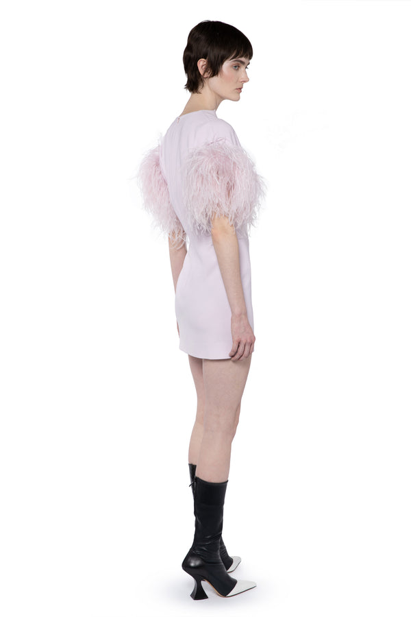 Vanora Mini Dress In Mauve