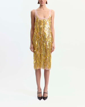 Shani Midi Dress in Embroidered Tulle