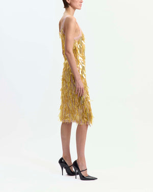 Shani Midi Dress in Embroidered Tulle