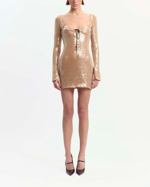 Franca Mini Dress in Paillette