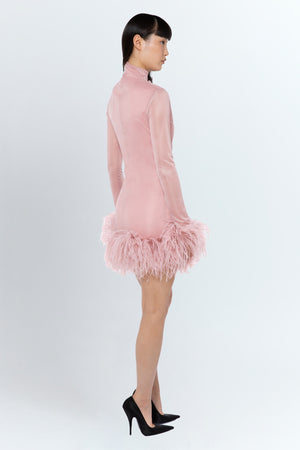 Luna Mini Dress In Blush