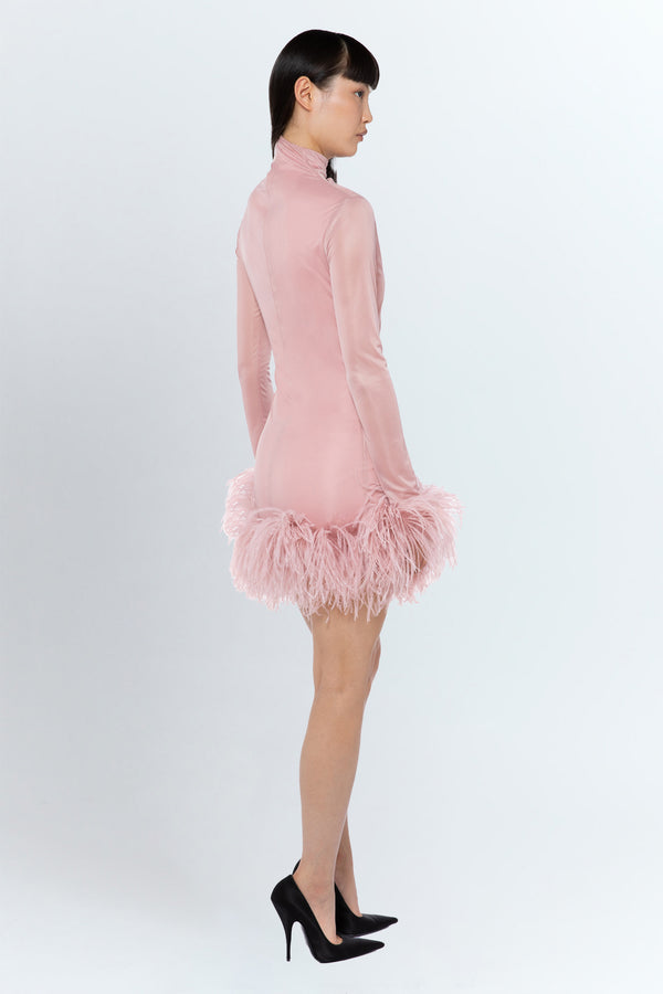 Luna Mini Dress In Blush