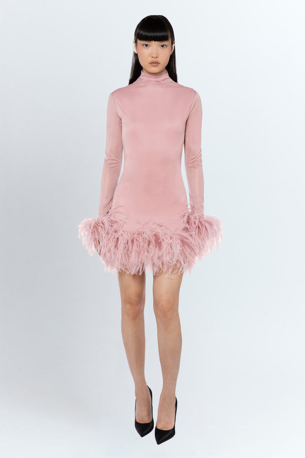 Luna Mini Dress In Blush
