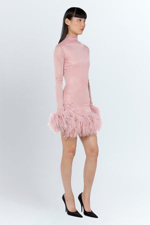 Luna Mini Dress In Blush