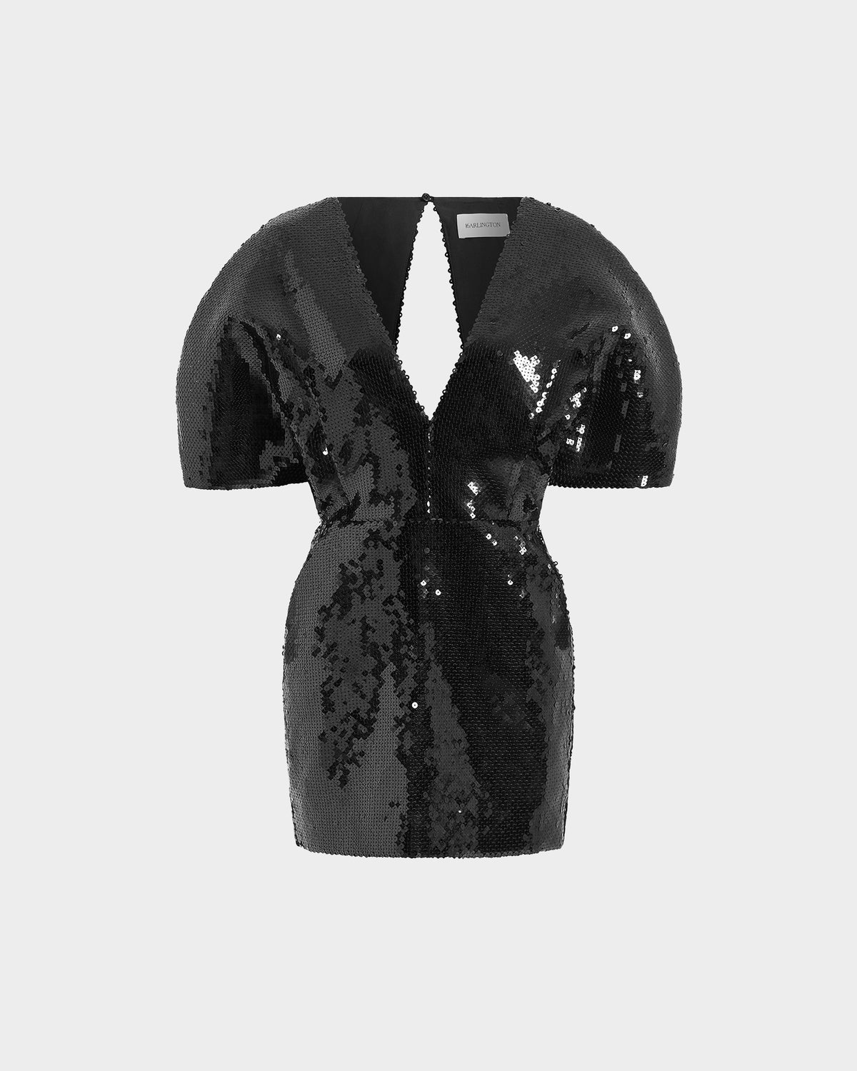 Riaura Mini Dress Sequin