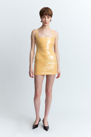 Sior Mini Dress in Sequin