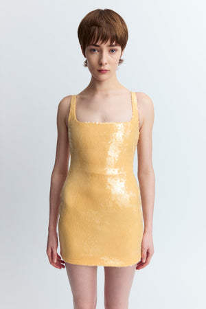 Sior Mini Dress in Sequin