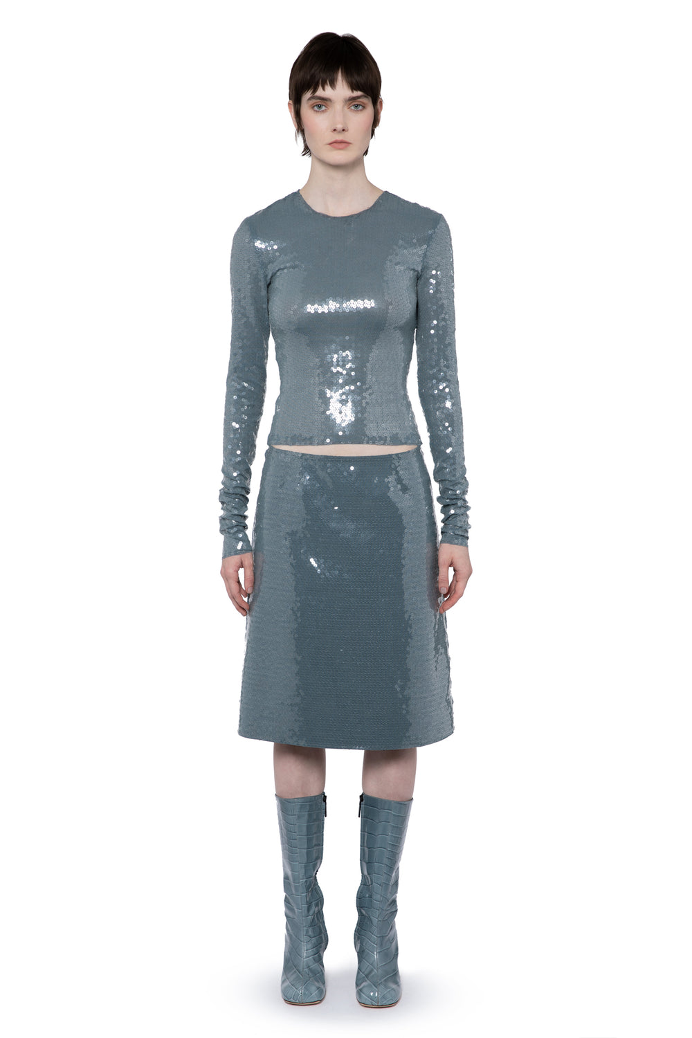 Wile Midi Skirt In Dolphin Sequin