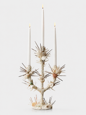 Candelabra by Sylvie Macmillan