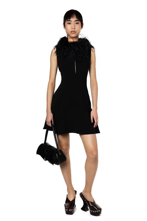 Botley Mini Dress