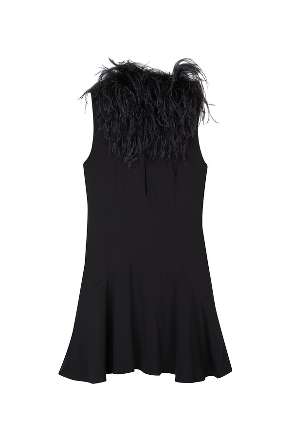 Botley Mini Dress