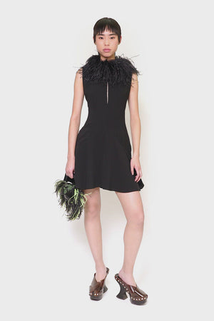 Botley Mini Dress